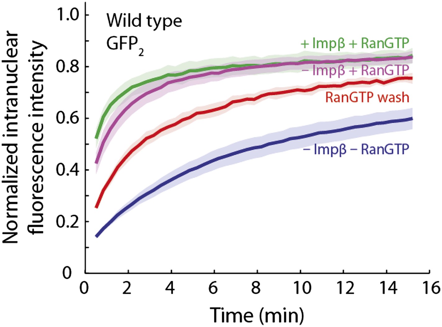 Figures and data in Importin β modulates the permeability of the