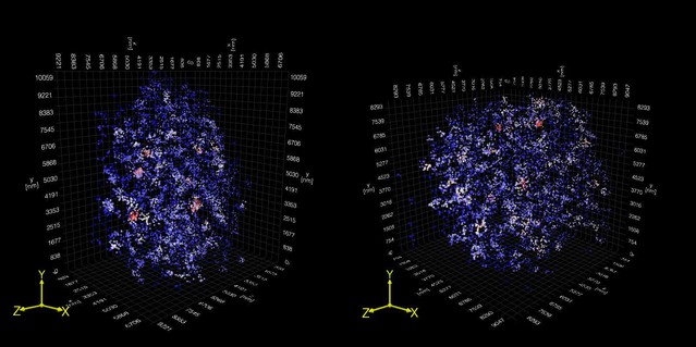 3D imaging of Sox2 enhancer clusters in embryonic stem cells | eLife