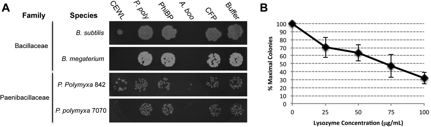 Antibacterial gene transfer across the tree of life | eLife