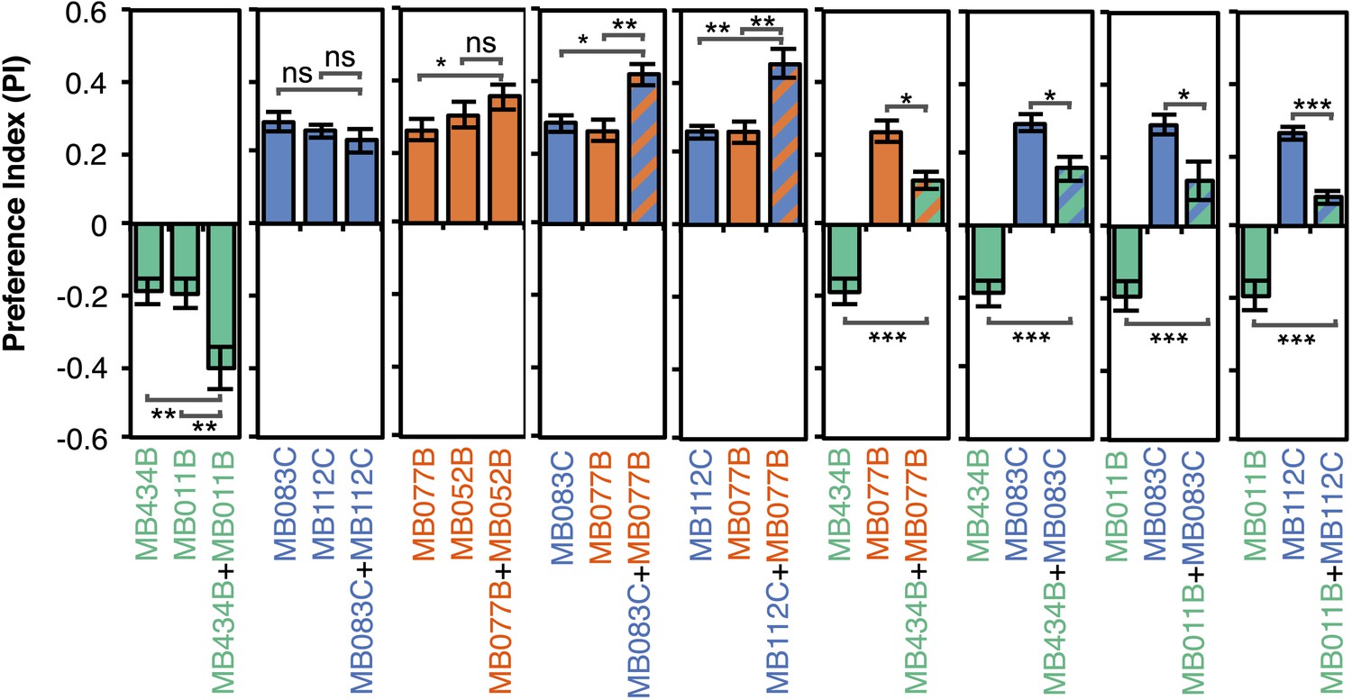 Mushroom body output neurons encode valence and guide memory Mushroom body output neurons encode valence and guide memory
