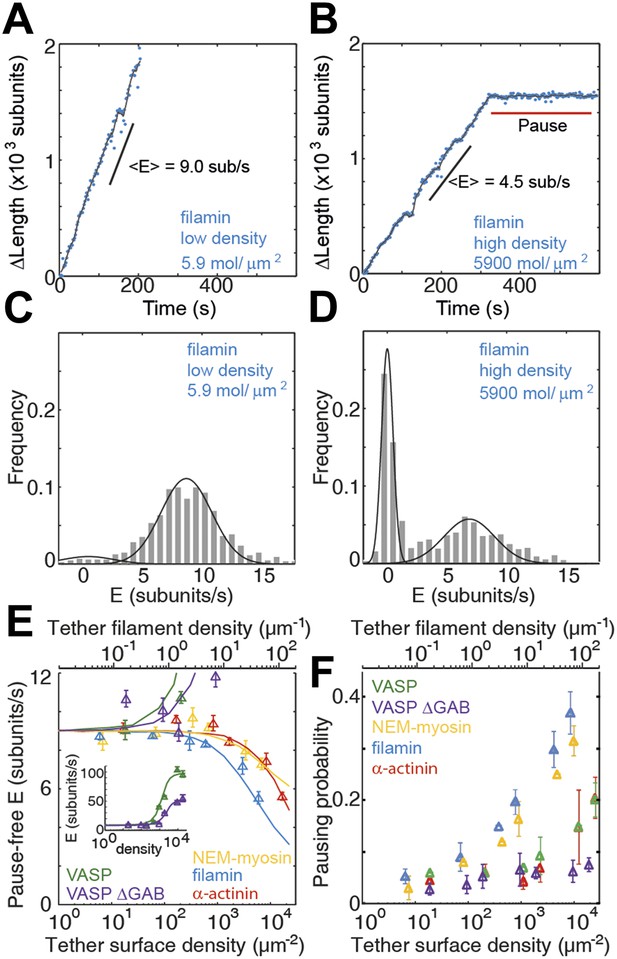 Figures And Data In Side Binding Proteins Modulate Actin Filament Dynamics Elife