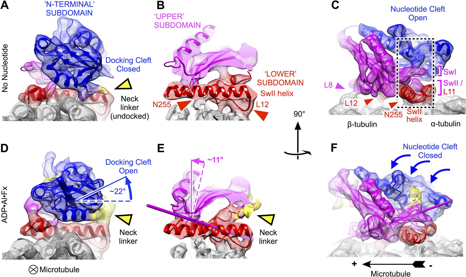 Figures And Data In High Resolution Structures Of Kinesin On