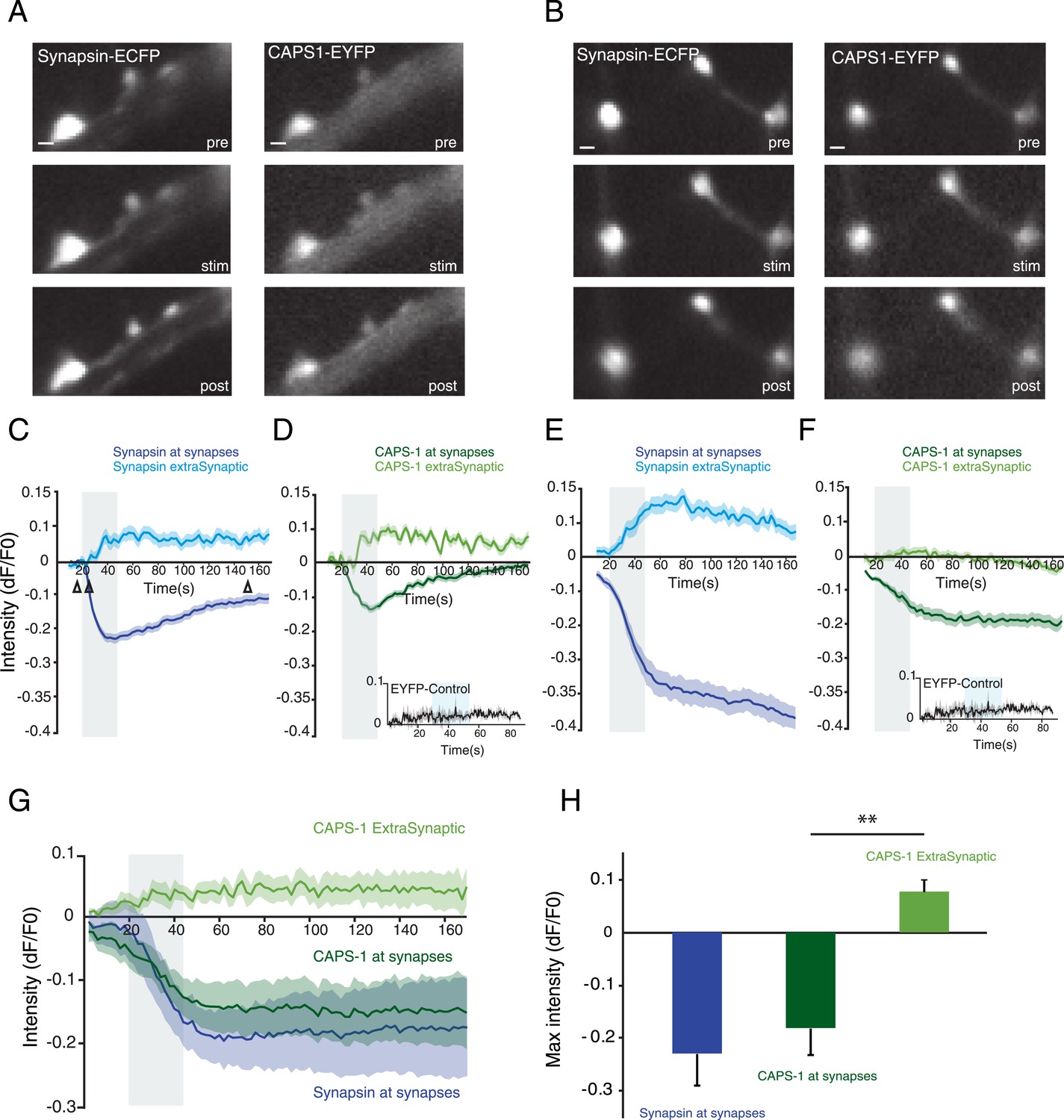 Identification of sex-biased and gonadal developmental