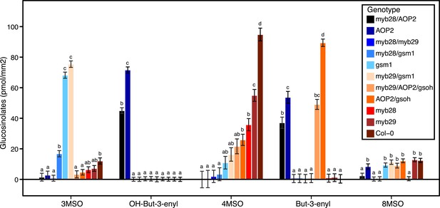 Figures and data in Natural genetic variation in Arabidopsis thaliana ...