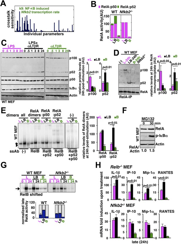 Stimulus-selective Crosstalk Via The NF-κB Signaling System Reinforces ...