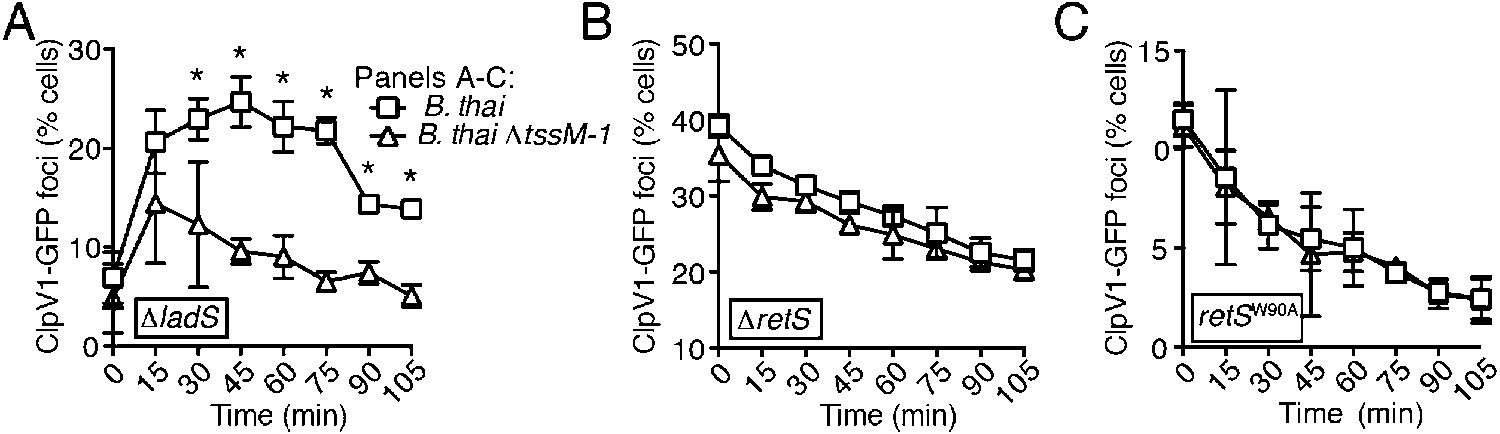 Figures and data in Kin cell lysis is a danger signal that activates