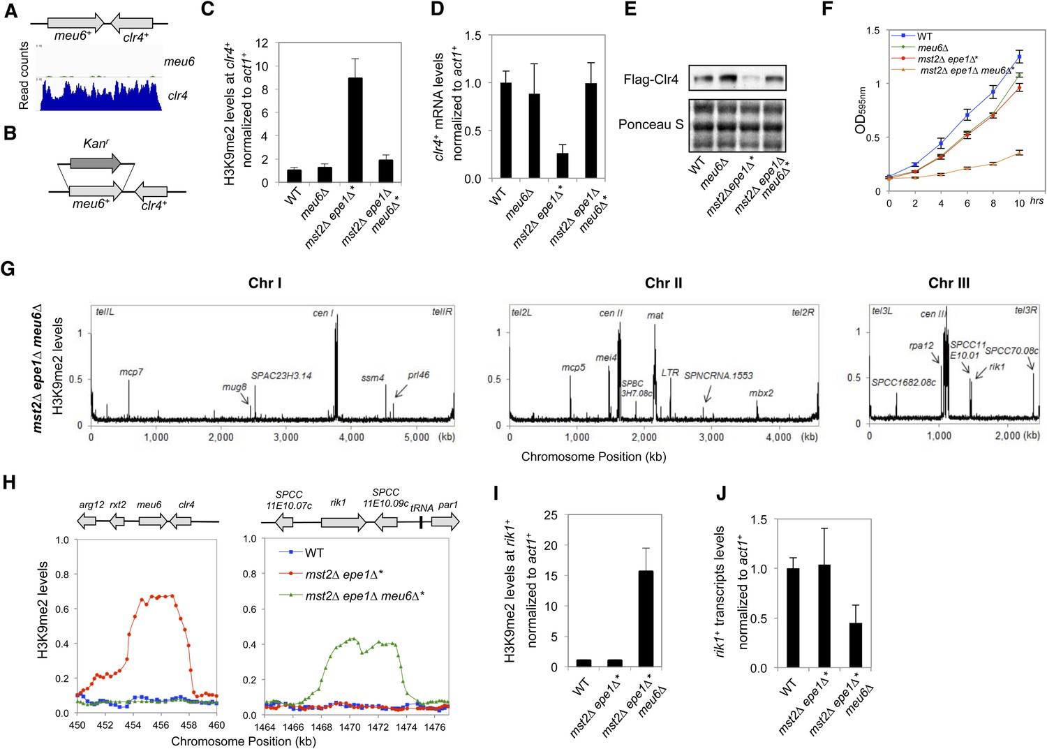 Figures and data in Rapid epigenetic adaptation to uncontrolled ...