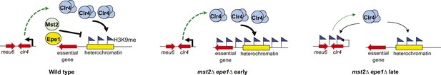 Figures and data in Rapid epigenetic adaptation to uncontrolled ...