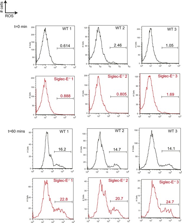 Figures and data in Siglec receptors impact mammalian lifespan by ...