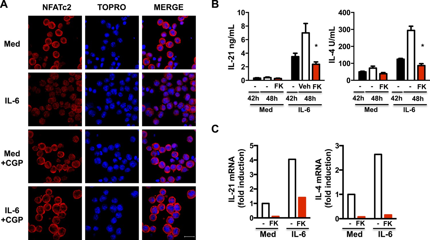 Mitochondrial Ca2+ and membrane potential, an alternative pathway for ...