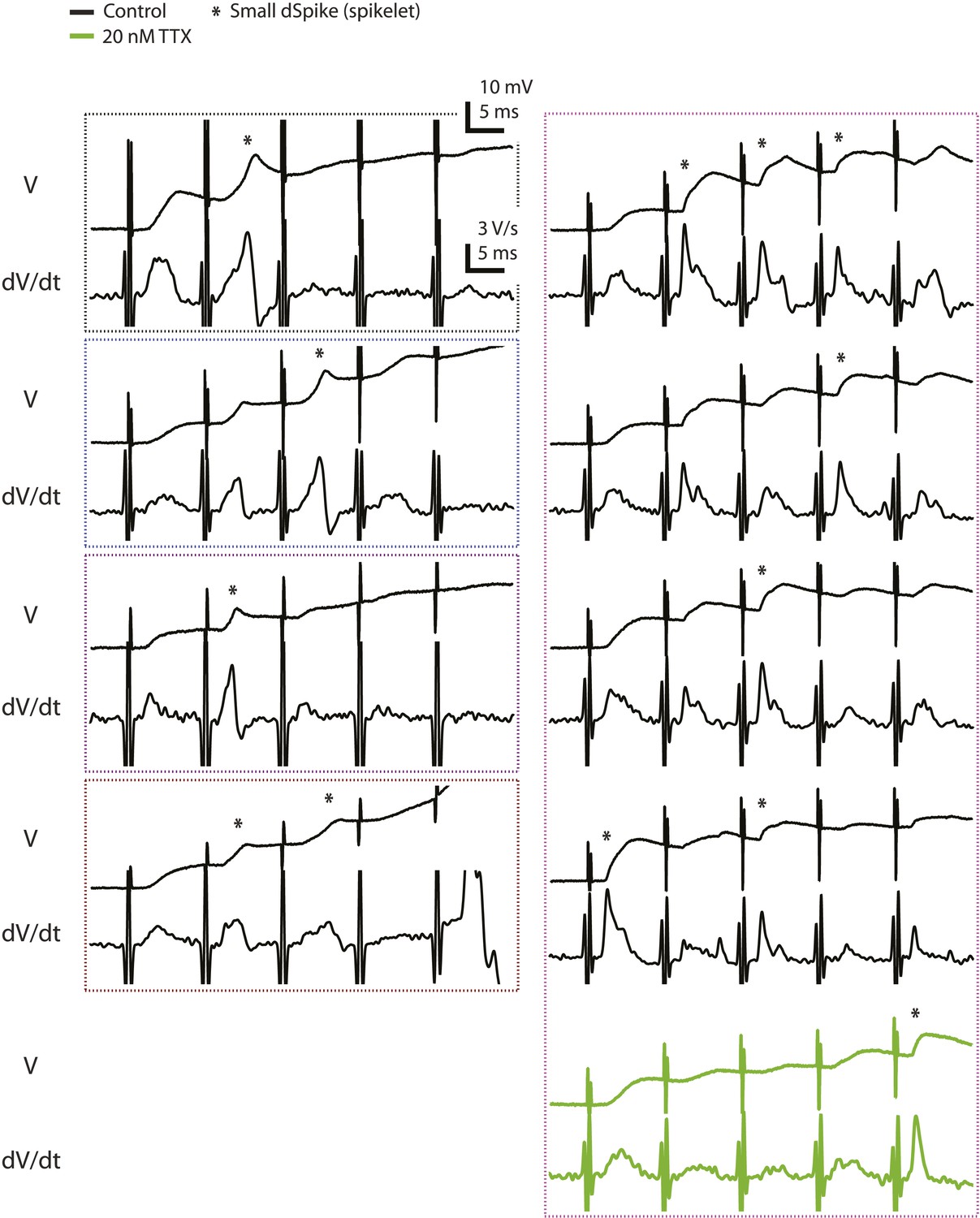 Figures and data in Dendritic sodium spikes are required for long-term ...