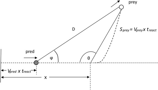 Figures and data in Mass enhances speed but diminishes turn capacity in ...