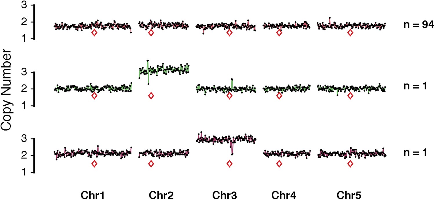 Figures And Data In Catastrophic Chromosomal Restructuring During Genome Elimination In Plants