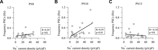 Figures and data in Interneurons and oligodendrocyte progenitors form a ...