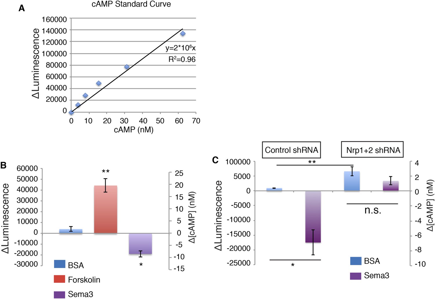 Figures and data in Phosphodiesterase 4D acts downstream of Neuropilin ...