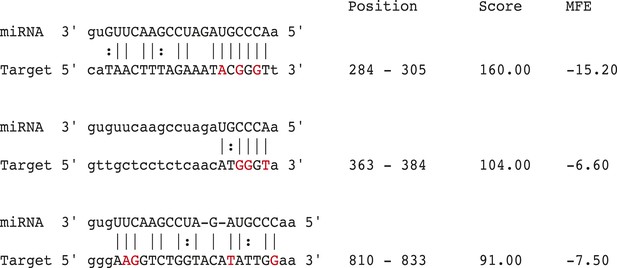 Figures and data in KRAS-dependent sorting of miRNA to exosomes | eLife