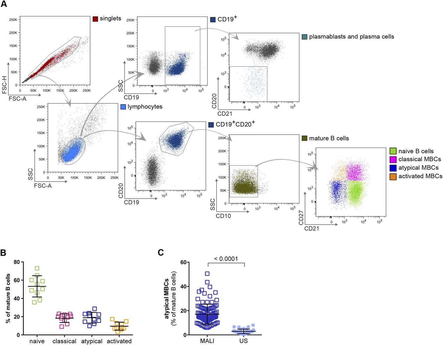 Malaria-associated Atypical Memory B Cells Exhibit Markedly Reduced B ...