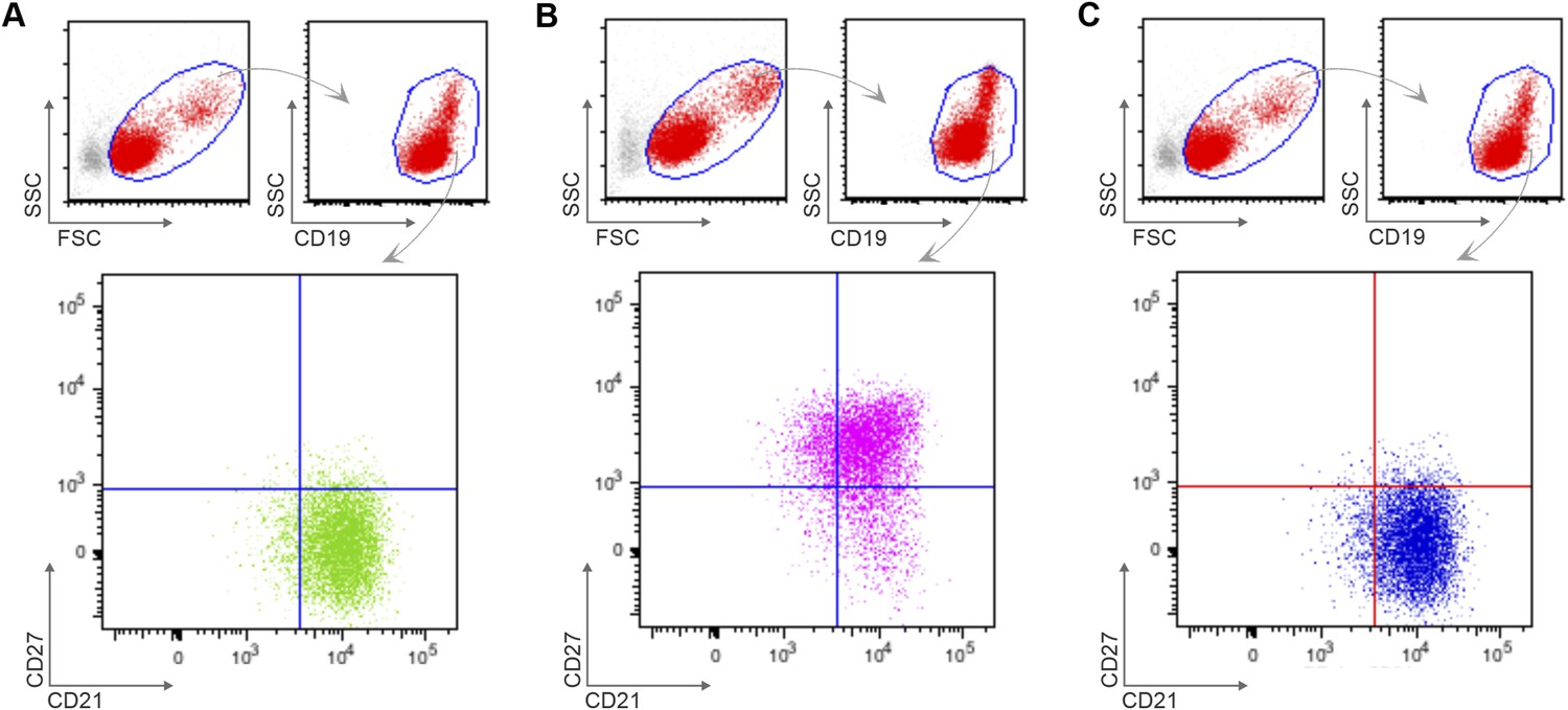 Figures And Data In Malaria-associated Atypical Memory B Cells Exhibit 