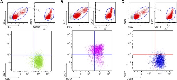 Figures and data in Malaria-associated atypical memory B cells exhibit ...