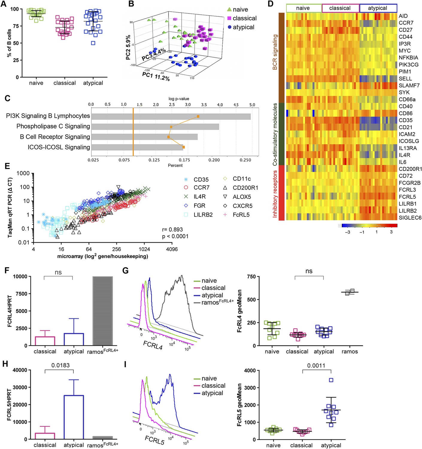 Malaria-associated atypical memory B cells exhibit markedly reduced B ...