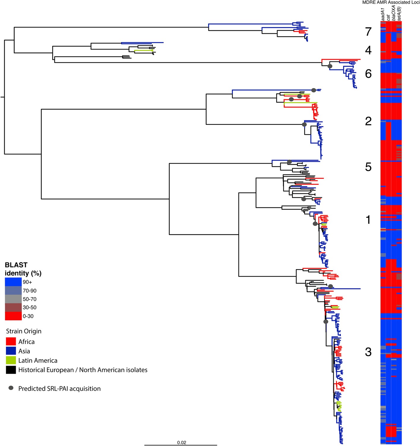 Figures And Data In Species-wide Whole Genome Sequencing Reveals ...