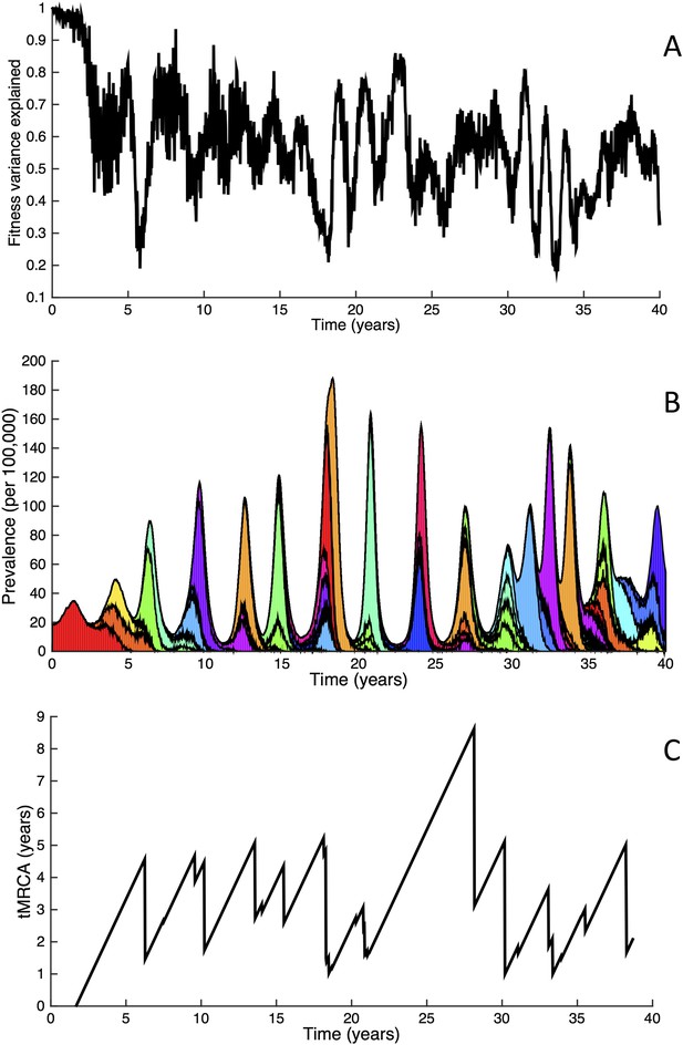 Figures and data in The effects of a deleterious mutation load on ...