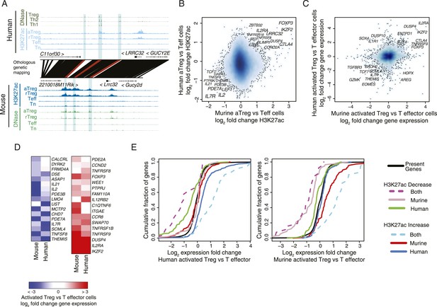 Genetic and epigenetic variation in the lineage specification of ...