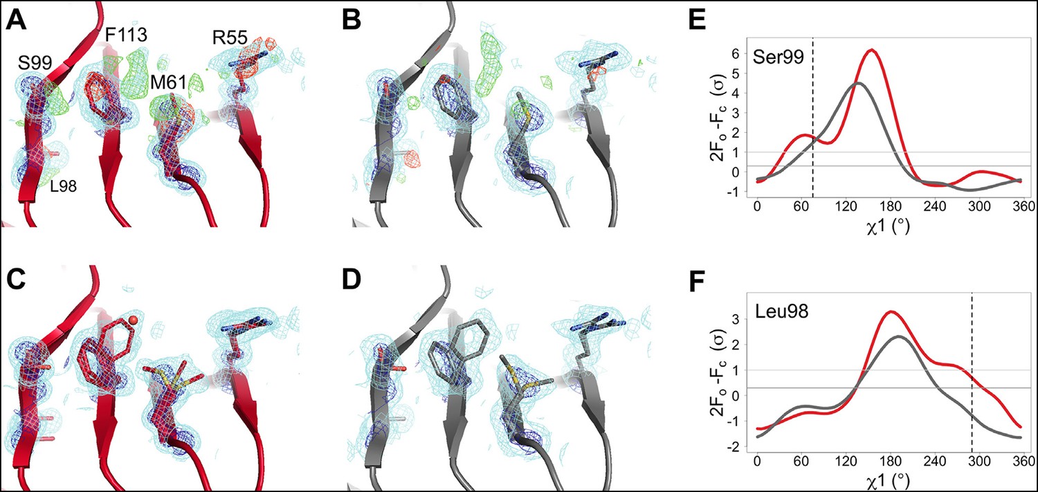 Mapping the conformational landscape of a dynamic enzyme by ...