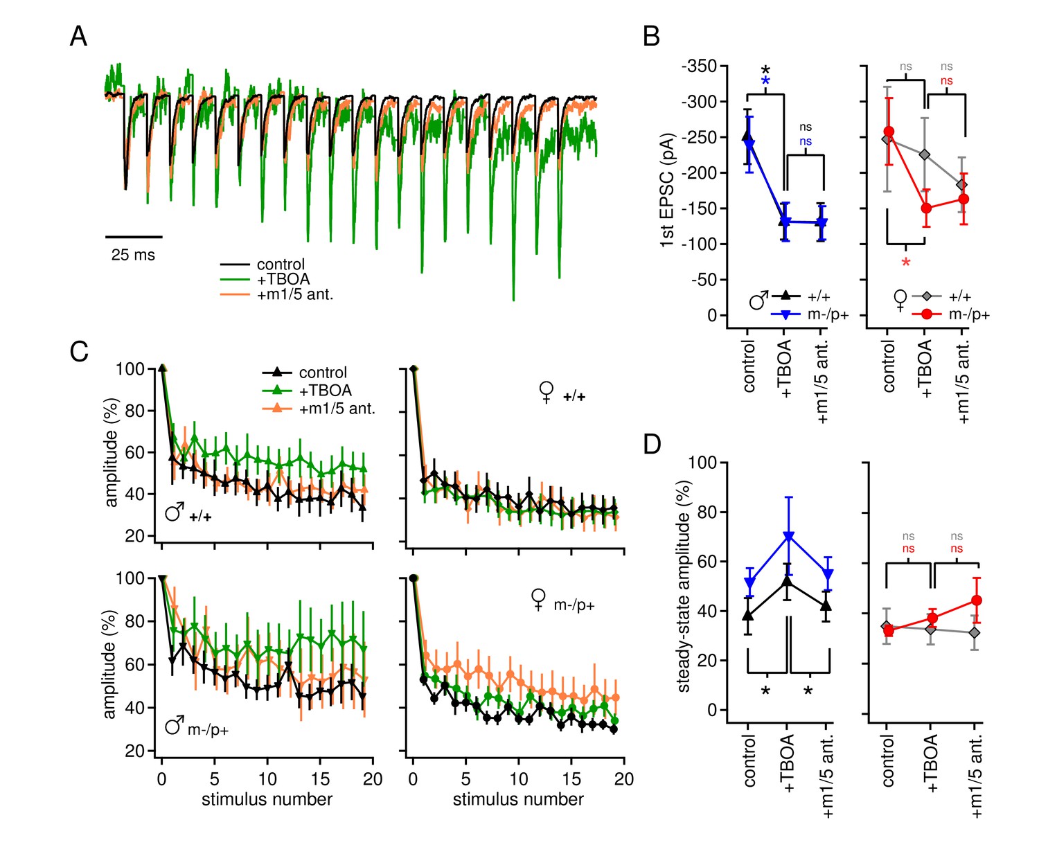 Figures And Data In Sex Differences In Cerebellar Synaptic Transmission And Sex Specific