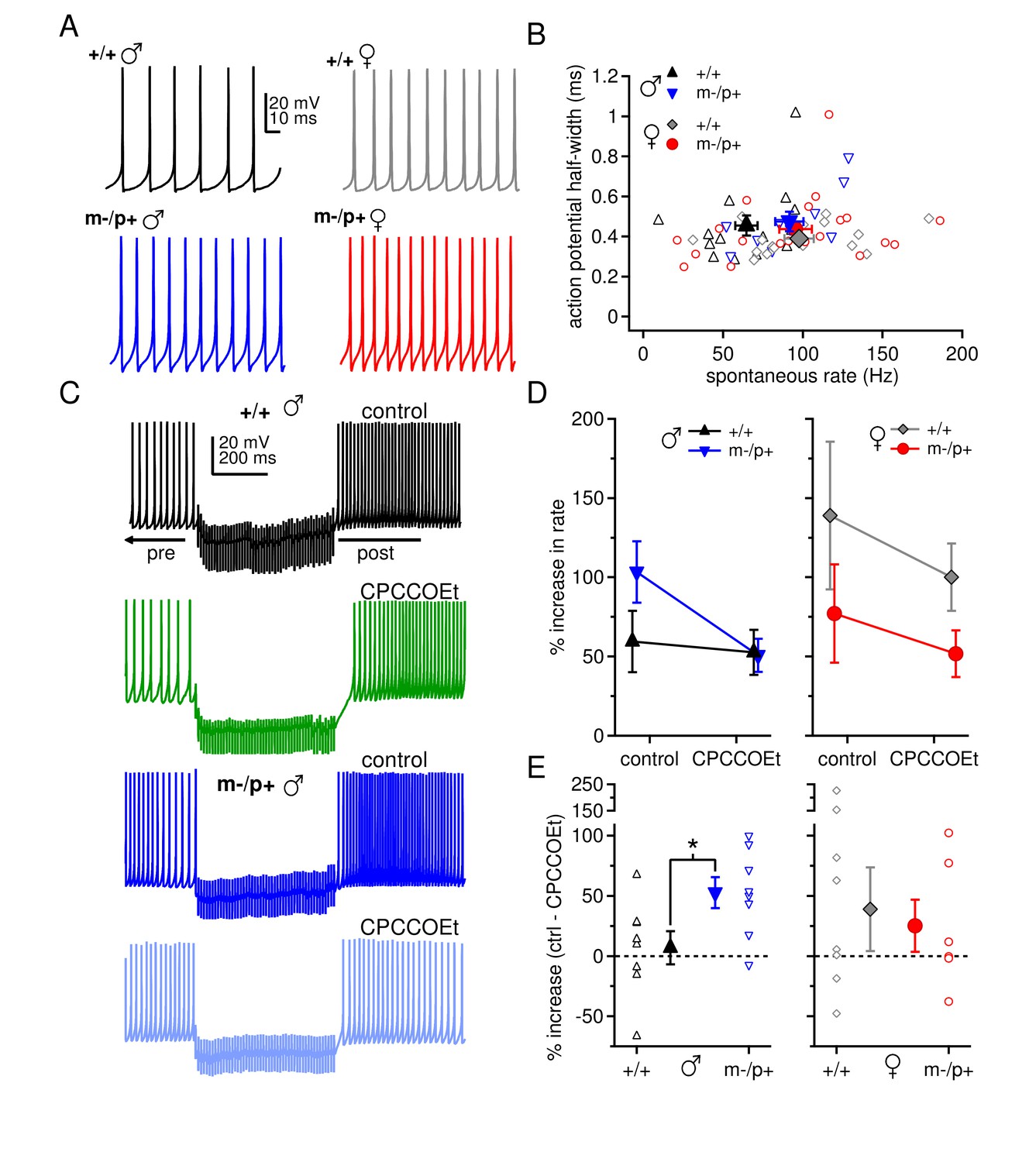 Figures And Data In Sex Differences In Cerebellar Synaptic Transmission And Sex Specific