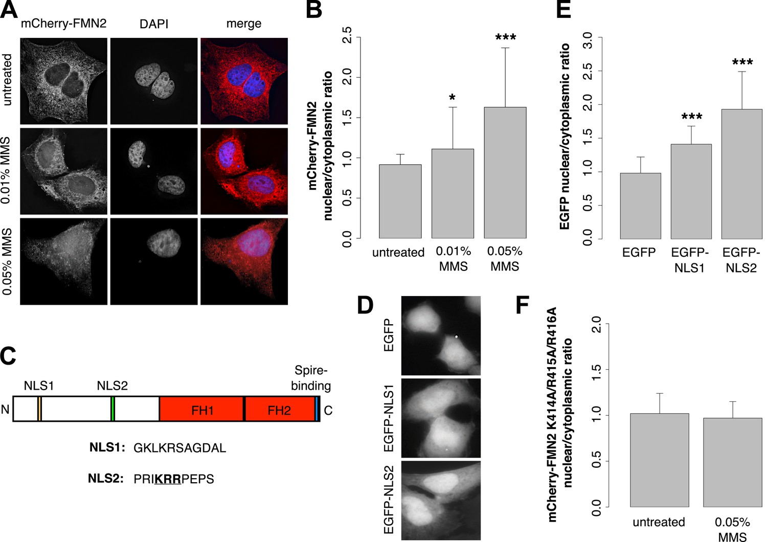 Figures And Data In Dna Damage Induces Nuclear Actin Filament Assembly