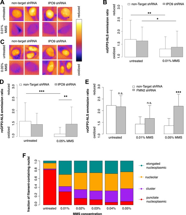 Figures And Data In DNA Damage Induces Nuclear Actin Filament Assembly