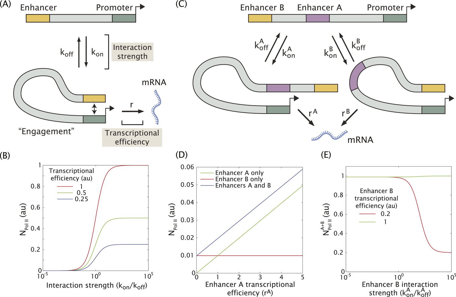 Enhancer additivity and non additivity are determined by enhancer