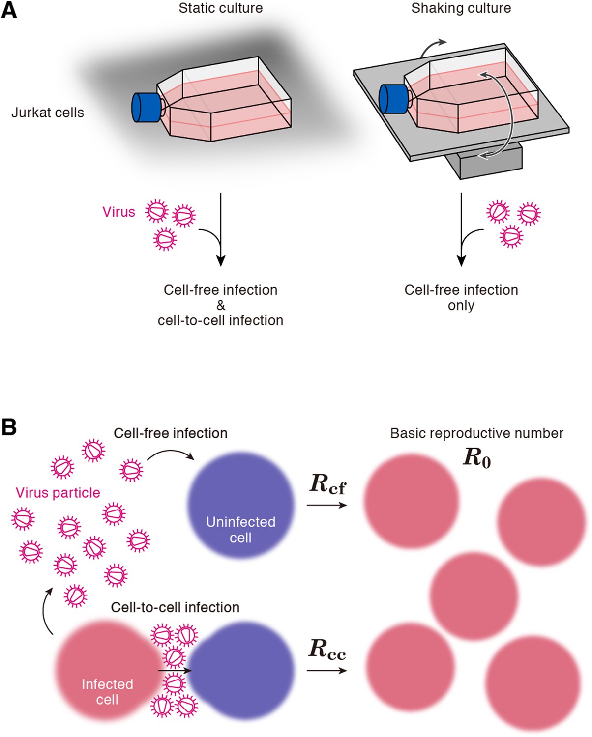 Cells, Free Full-Text