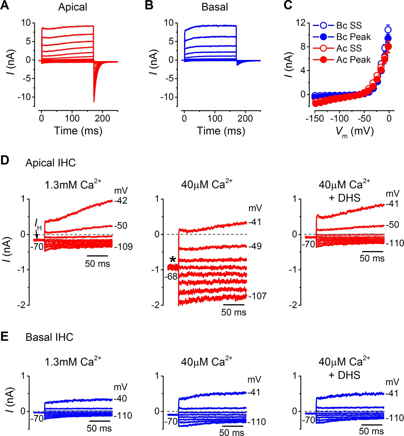 Figures and data in Membrane properties specialize mammalian inner hair ...