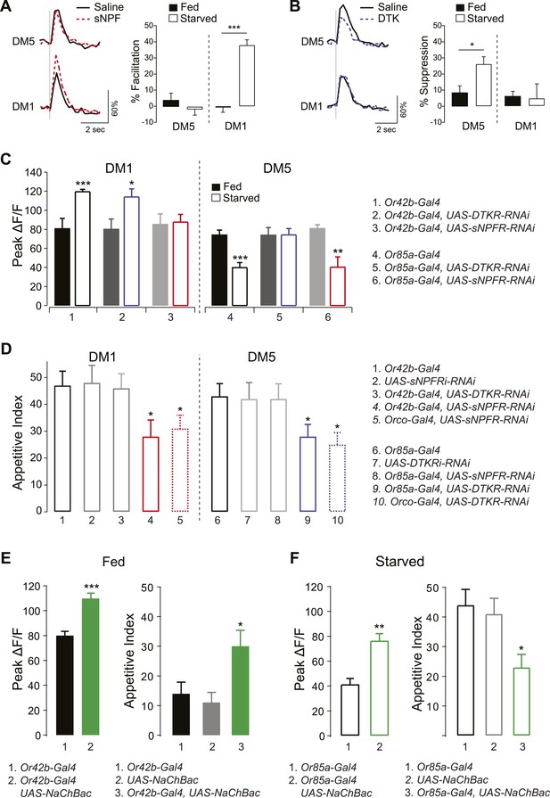 Starvation Promotes Concerted Modulation Of Appetitive Olfactory 