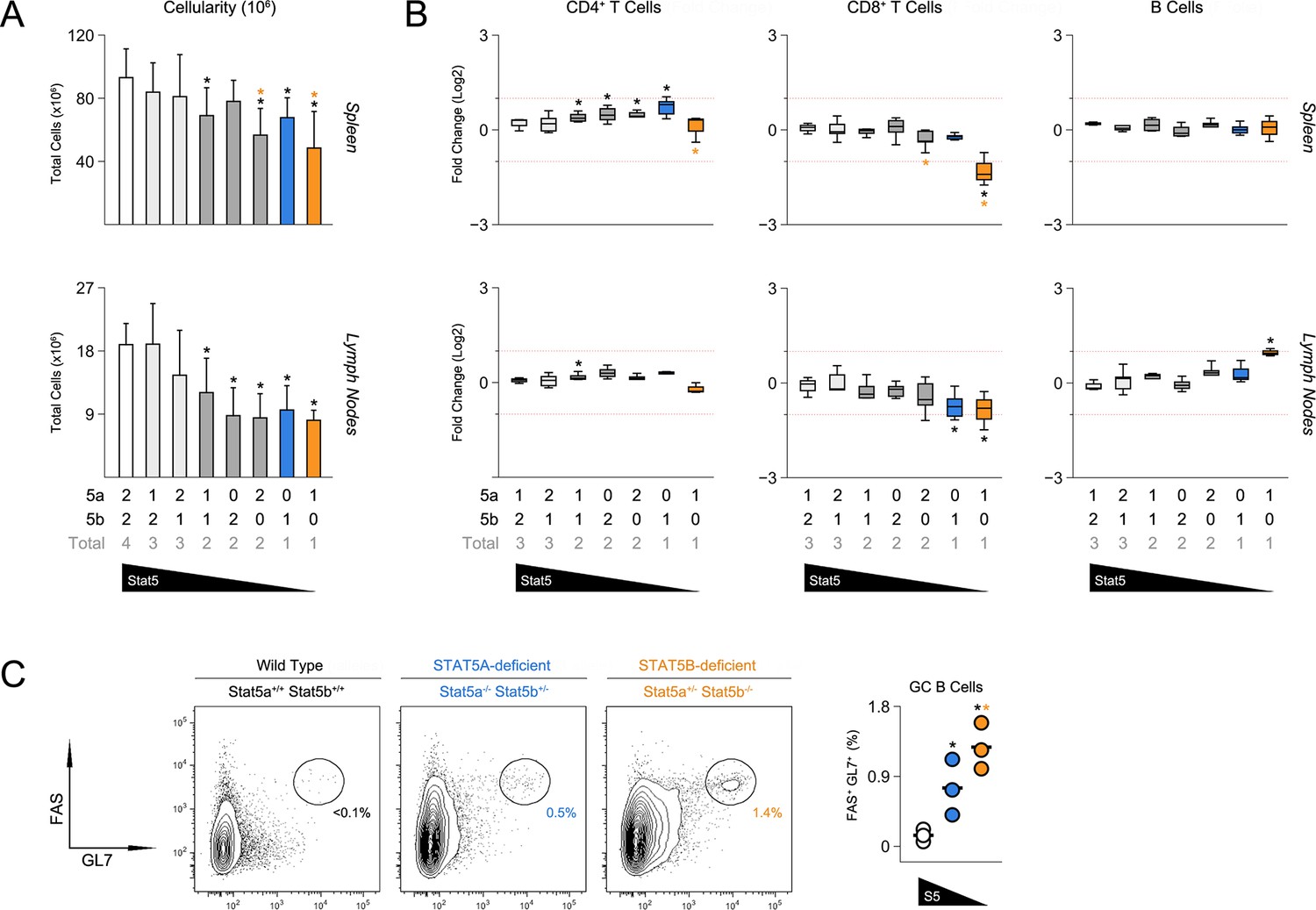 Signal Transducer And Activator Of Transcription 5 Stat5 Paralog Dose