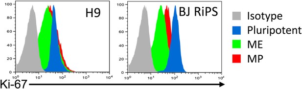 Figures And Data In Generation Of An Expandable Intermediate Mesoderm