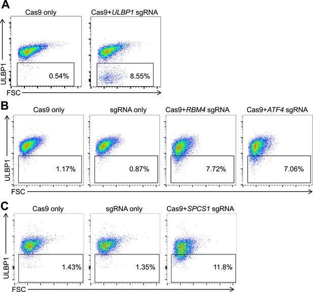 Figures and data in A forward genetic screen reveals novel independent ...