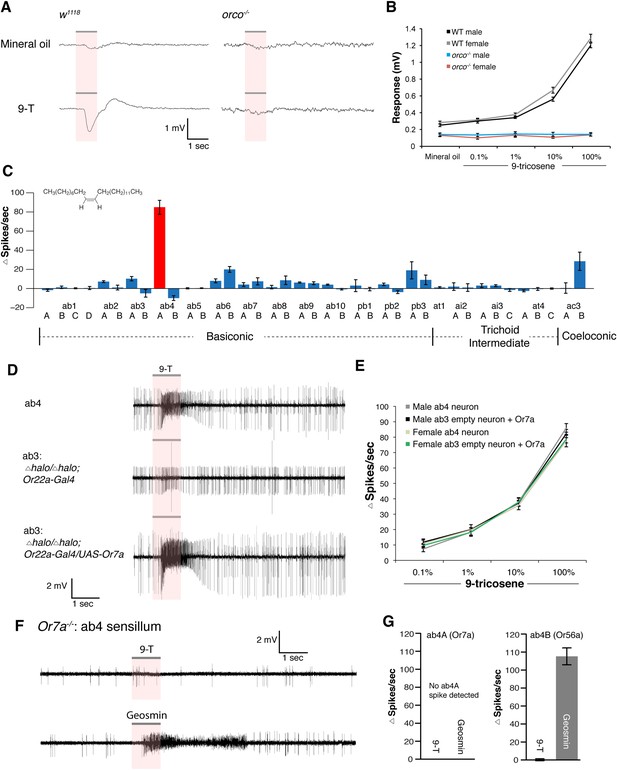 Food odors trigger Drosophila males to deposit a pheromone that guides ...