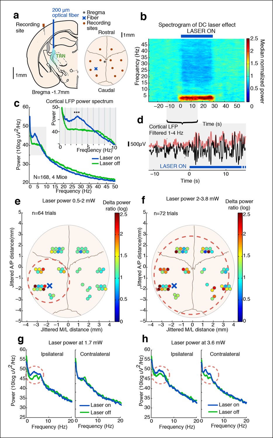 Thalamic reticular nucleus induces fast and local modulation of arousal ...