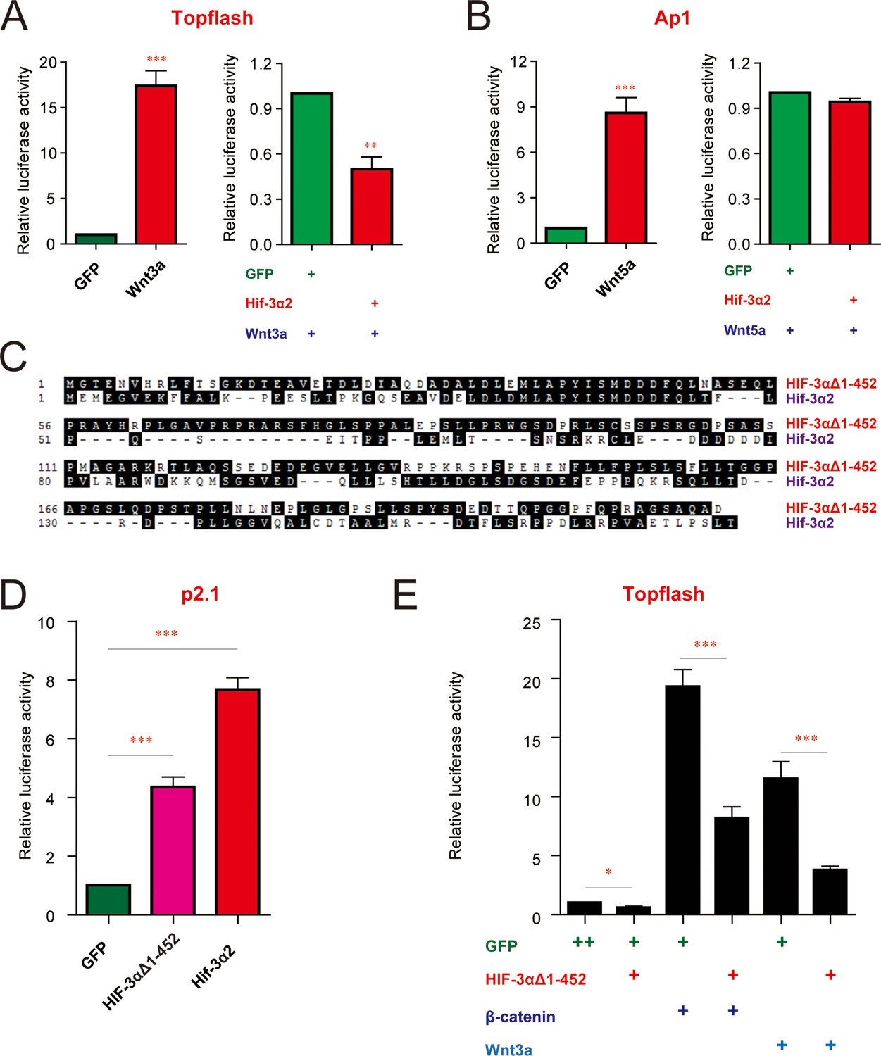 Figures and data in An oxygen-insensitive Hif-3α isoform inhibits Wnt ...