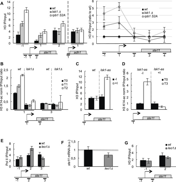 Figures and data in Promoter nucleosome dynamics regulated by ...