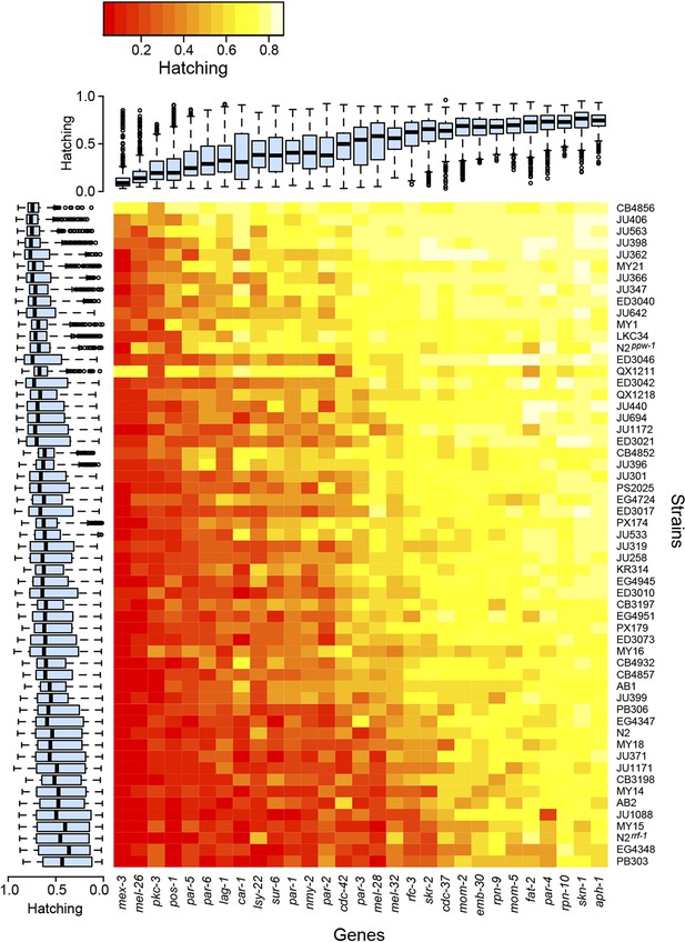 Wild worm embryogenesis harbors ubiquitous polygenic modifier variation ...