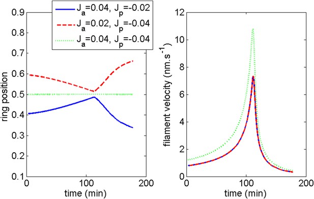 Assembly and positioning of actomyosin rings by contractility and ...