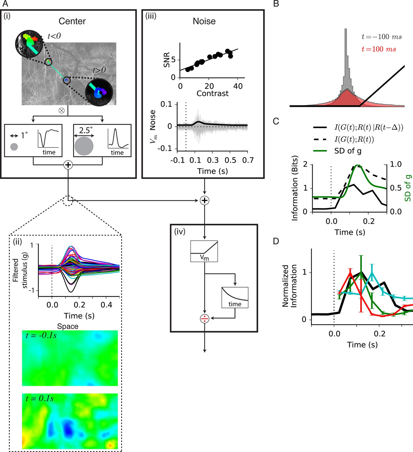 Figures and data in Synchronized amplification of local information ...