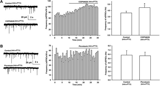 Figures and data in Morphine disinhibits glutamatergic input to VTA ...