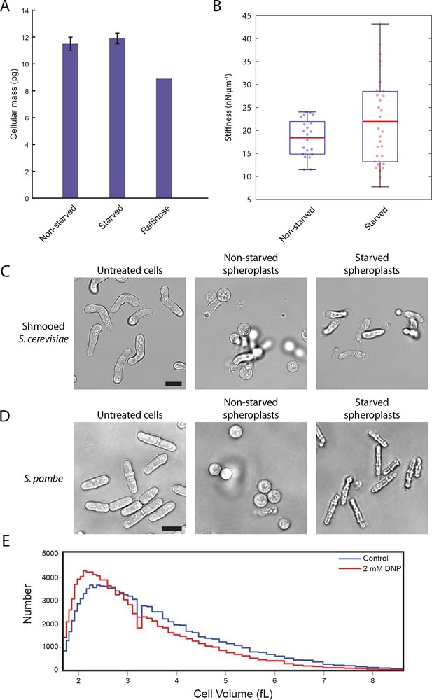 Figures and data in A glucose-starvation response regulates the ...