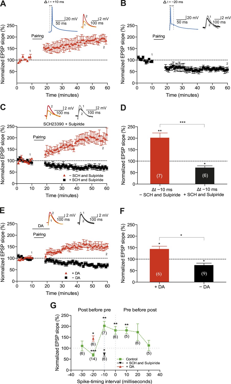 Retroactive Modulation Of Spike Timing-dependent Plasticity By Dopamine ...