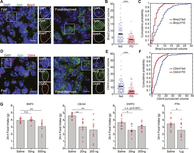 Cell type-specific transcriptomics of hypothalamic energy-sensing ...